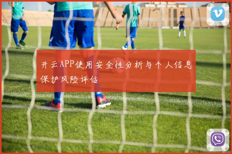 开云APP使用安全性分析与个人信息保护风险评估