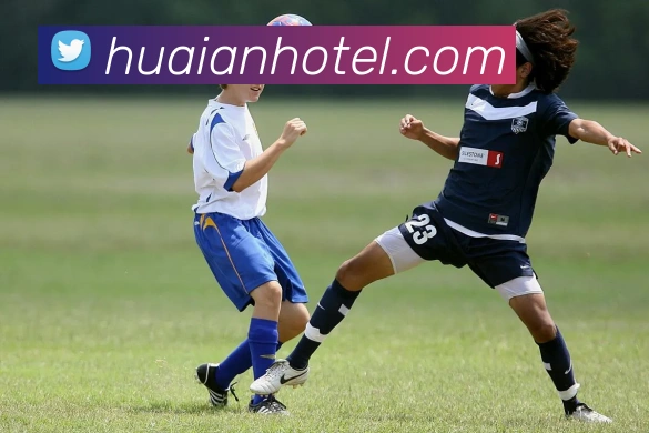 开云appAPP 封面图